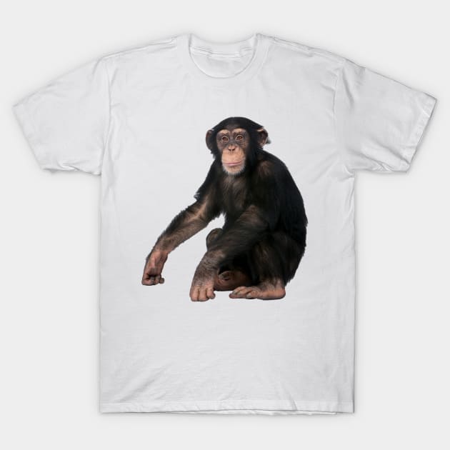 Chimpanzee T-Shirt by Endangered Animals